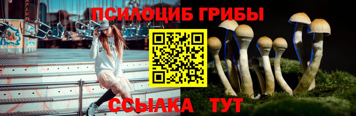 Псилоцибиновые грибы ЛСД  Вход с VPN  Уссурийск 